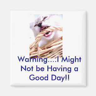 Schließfachmagnet Magnet