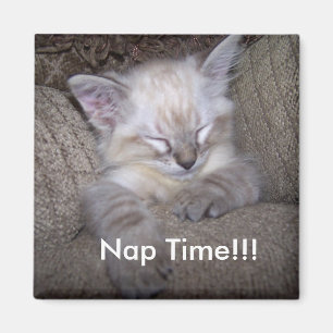 Schließfachmagnet… Nickerchenzeit Magnet