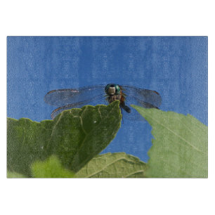 Schließung der Libelle gegen den hellblauen Himmel Schneidebrett