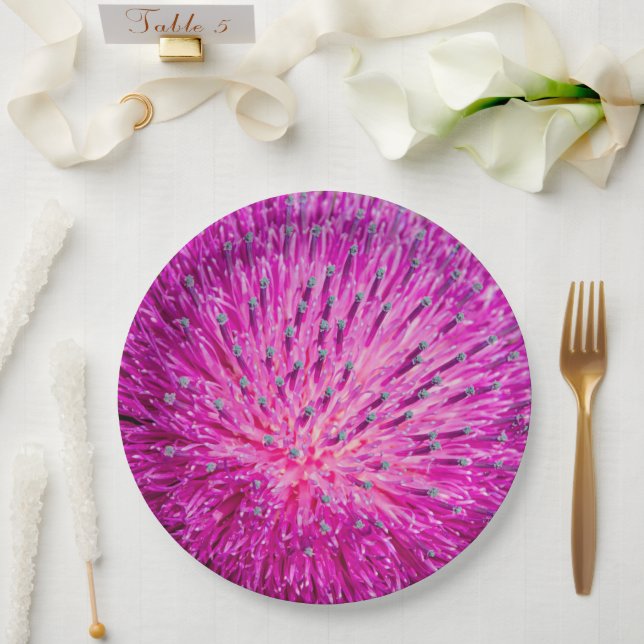 Schließung der Milchdistel Pappteller (Hochzeit)