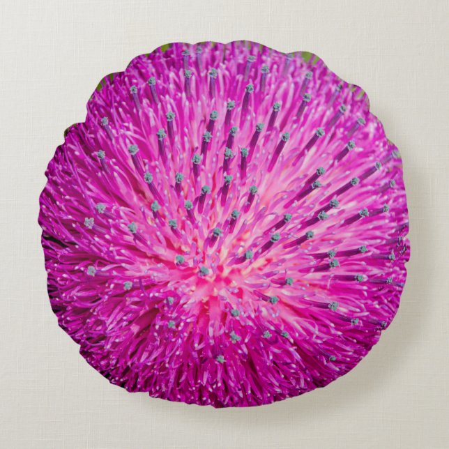 Schließung der Milchdistel Rundes Kissen (Vorderseite)