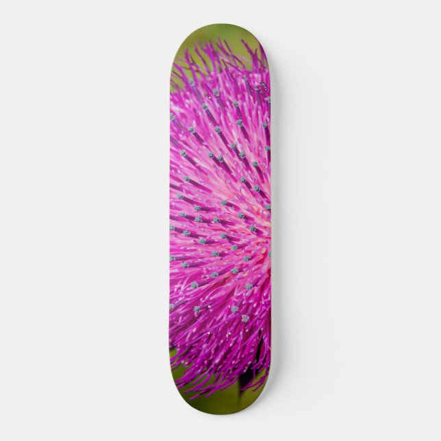 Schließung der Milchdistel Skateboard (Vorderseite)
