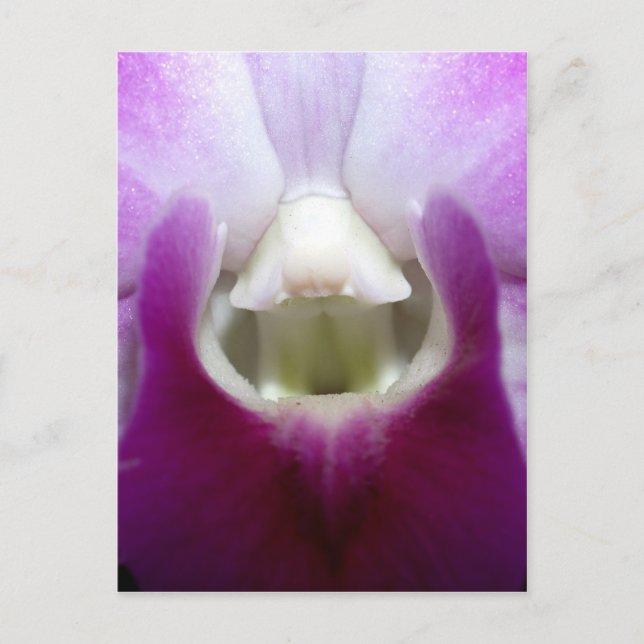 Schließung der Orchid-Blume Postkarte (Vorderseite)