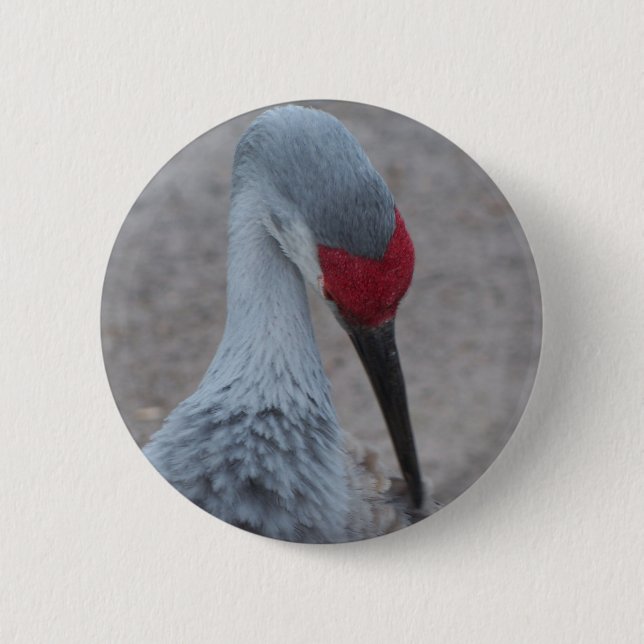 Schließung des Gesichts eines Sand Hill Crane Button (Vorderseite)