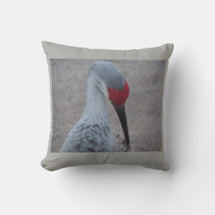 Schließung des Gesichts eines Sand Hill Crane Kissen