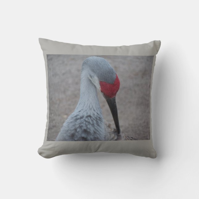 Schließung des Gesichts eines Sand Hill Crane Kissen (Vorderseite)
