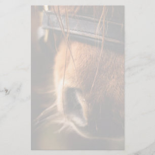 Schließung einer Niedlichen braunen Pferdedose Briefpapier