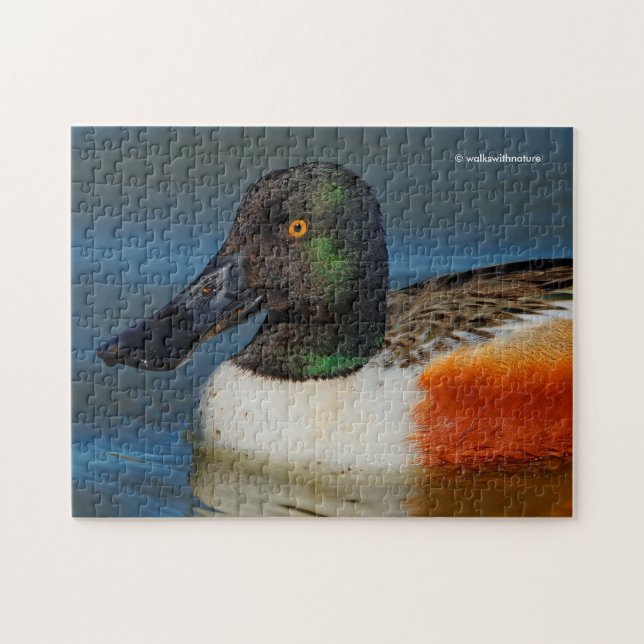 Schließung einer schönen Northern Shoveler Duck Puzzle (Horizontal)