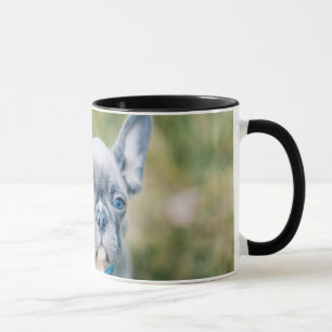 Schließung eines französischen Bulldog Tasse