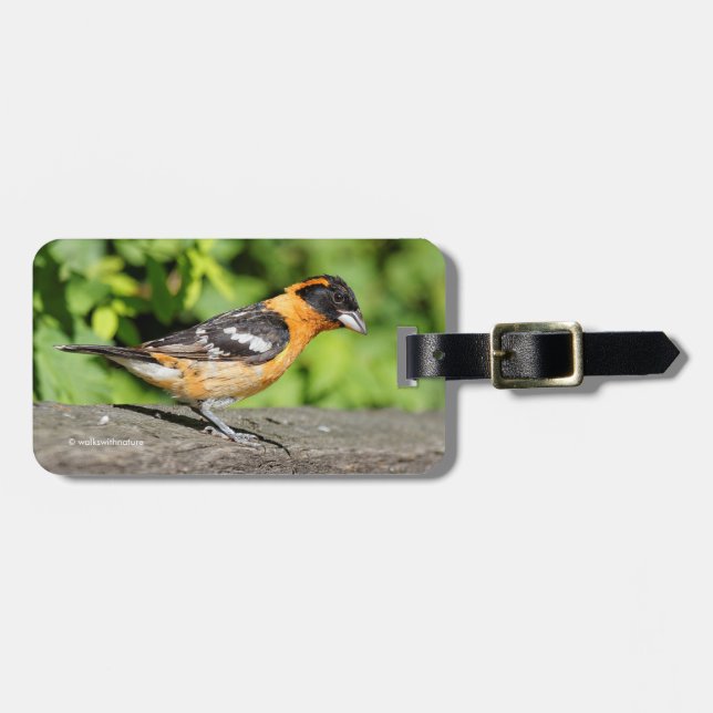 Schließung eines handlichen schwarz-geheuerten Gro Gepäckanhänger (Vorderseite horizontal)