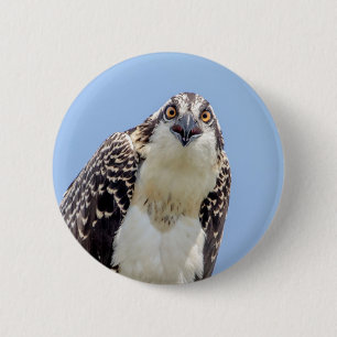 Schließung eines Jugendorgys Button