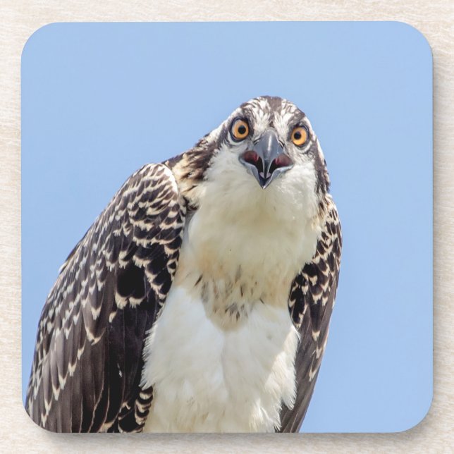 Schließung eines Jugendorgys Untersetzer (Vorderseite)