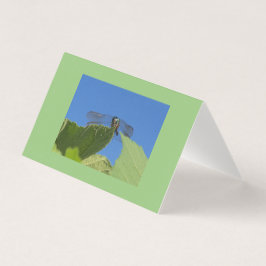 Schließung eines Libellen gegen einen hellblauen H