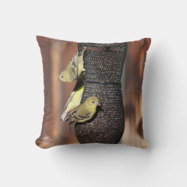 Schließung von Gold-Finches über Vogelzuführung Kissen