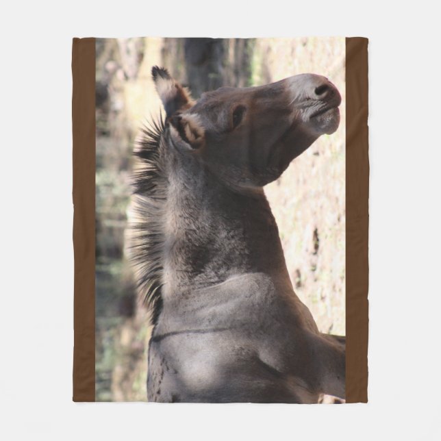 Schließung von Mule - Arizona Fleecedecke (Vorderseite)