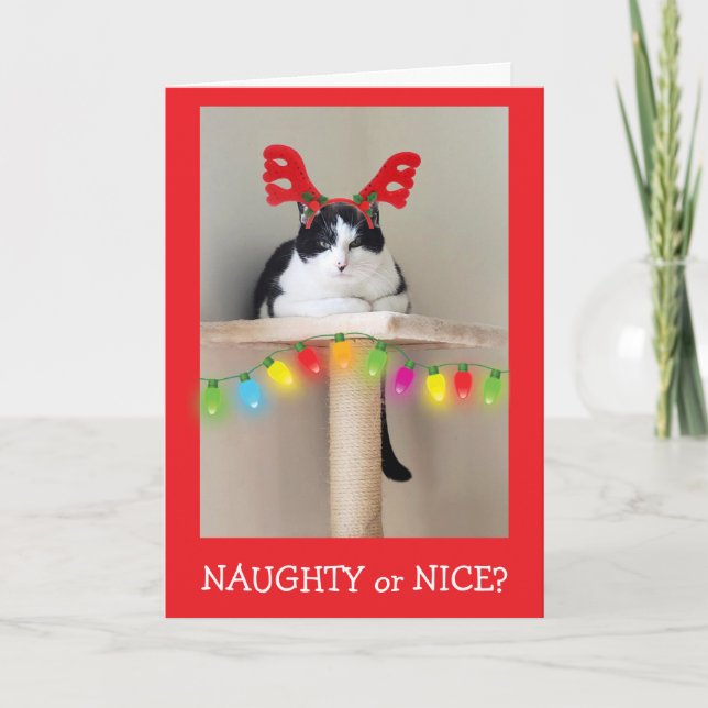 Schlimm oder Schön Lustige Katze Weihnachten  (Vorderseite)