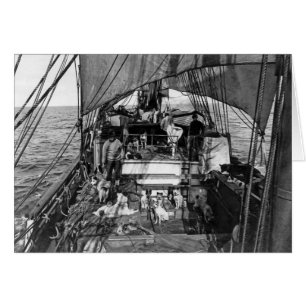 Schlitten-Hunde in Meer