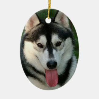 Schlitten-Hundeverzierung Keramik Ornament