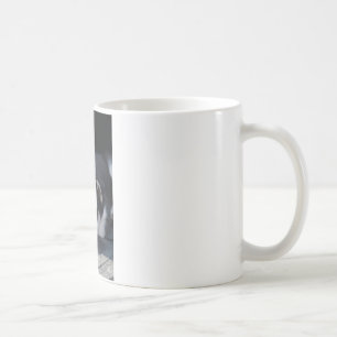 Schlitten-Hundewelpe alaskischer Tasse