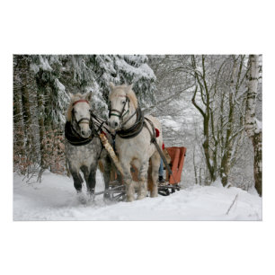 Schlitten+Reiten, Schnee, Wald, Pferd, Winter, Wei Poster