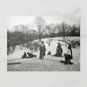 Schlittenfahren im Central Park, 1906 Postkarte