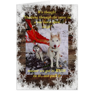 Schlittenfahrt Husky