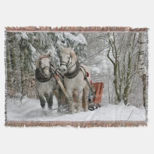 Schlittenfahrt, Schnee, Wald, Pferd, Winter, weiß, Decke