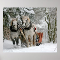 Schlittenfahrt, Schnee, Wald, Pferd, Winter, weiß,