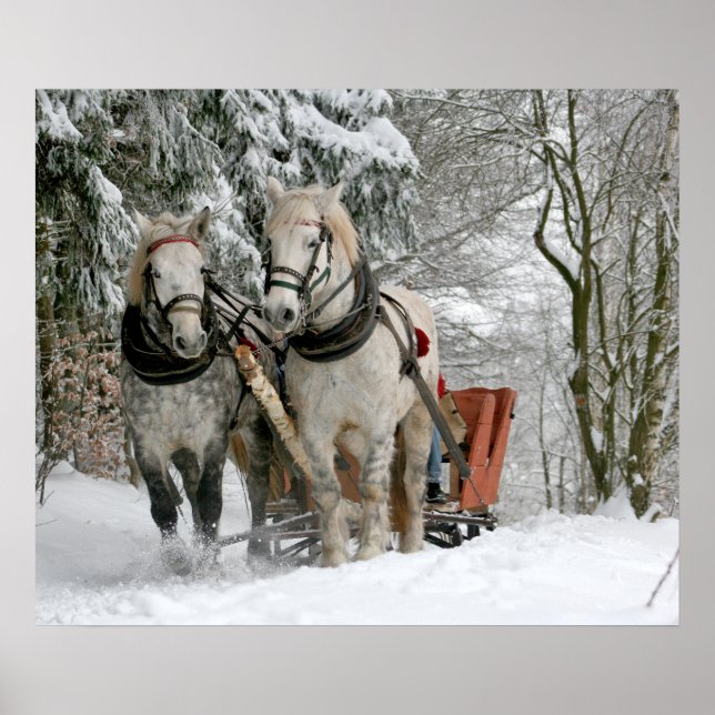Schlittenfahrt, Schnee, Wald, Pferd, Winter, weiß, Poster (Vorne)
