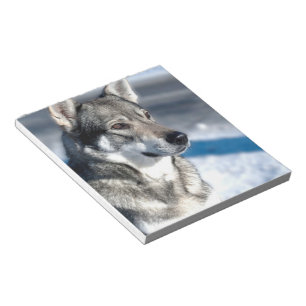 Schlittenhund im Schnee-Notizblock Notizblock