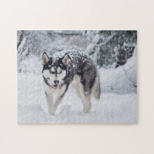 Schlittenhund im Schnee Puzzle