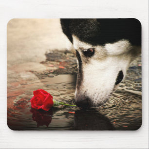 Schlittenhund-und Rosen-Fotografie Mousepad