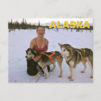 Schlittenhunde in Alaska Postkarte