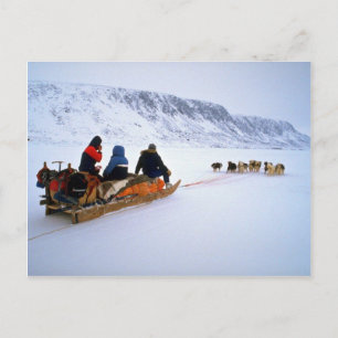 Schlittenhundtour, South Baffin Island Postkarte