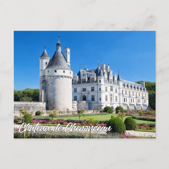 Schloss Chenonceau, Frankreich Postkarte (Vorderseite)