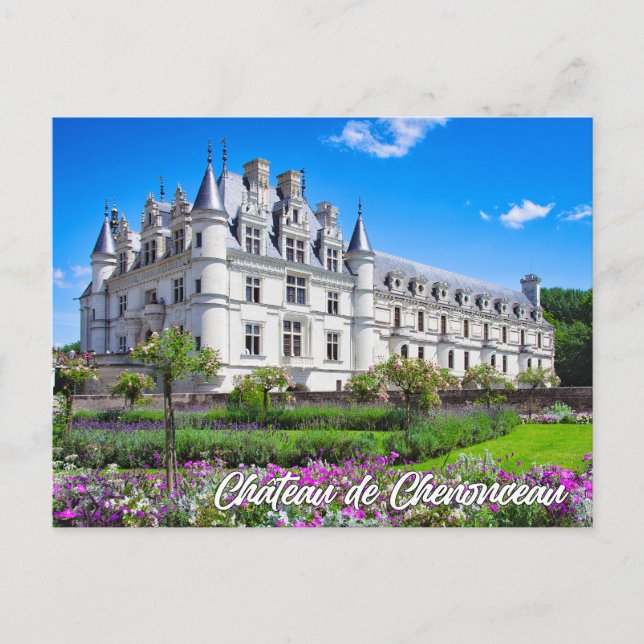 Schloss Chenonceau, Frankreich Postkarte (Vorderseite)