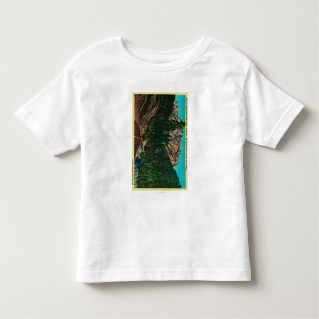 Schloss-Felsspitzen-Staats-Park von US 99 Kleinkind T-shirt (Vorderseite)