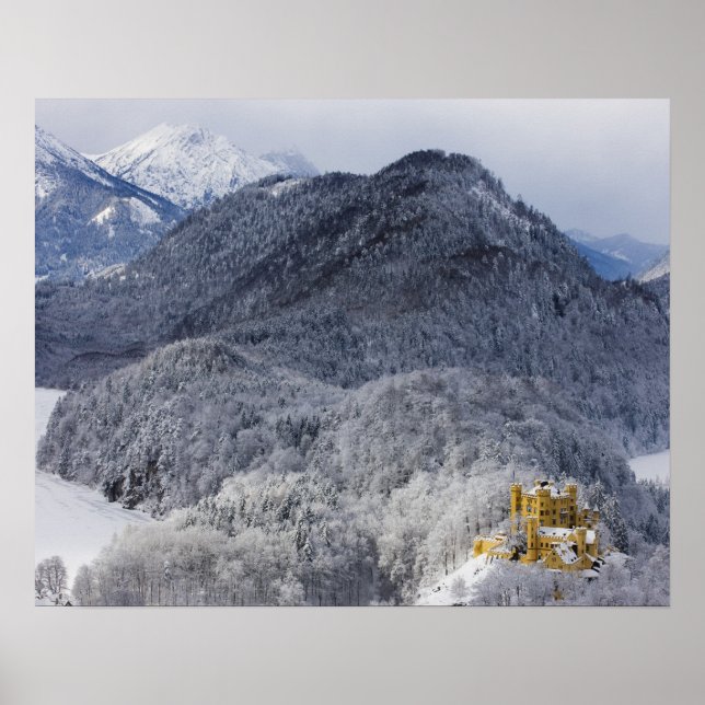 Schloss Hohenschwangau Poster (Vorne)