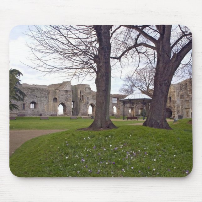 SchlossMausunterlage 25 Mousepad (Vorne)