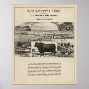 Schluchtgalloway-Ranch, Oberlin, Kansas Poster