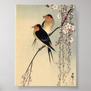 Schlucken mit Kirschblüten - Ohara Koson Poster