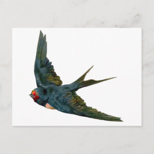 Schlucken Postkarte