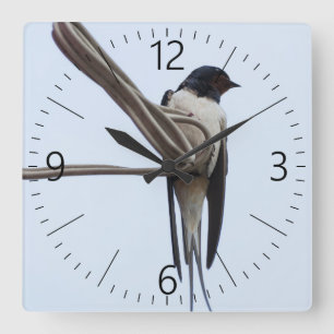 Schlucken Quadratische Wanduhr