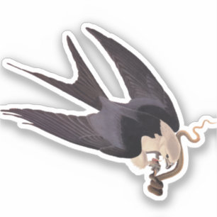 Schlucken Sie den Schwanz Hawk mit Snake Vintag Au Aufkleber