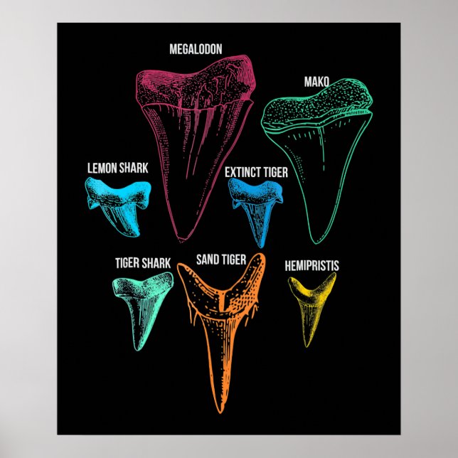 Schlüssel für die Jagd auf Haifischflossen Poster (Vorne)