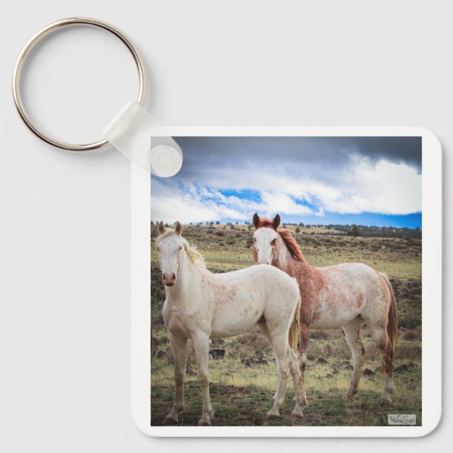 Schlüsselanhänger (Vorderseite)