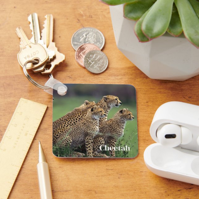 Schlüsselanhänger-Cheetah Schlüsselanhänger (Schreibtisch)