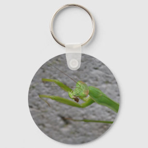 Schlüsselanhänger des betenden Mantis