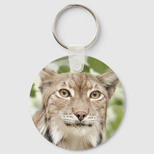 Schlüsselanhänger Foto Luchs , Katze , Tiere .