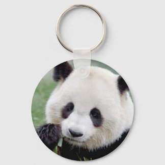 Schlüsselanhänger Foto Riesenpanda. Panda Geant.